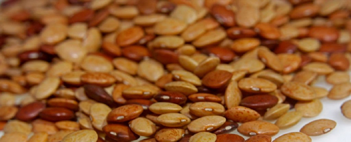 Horsegram for weight loss