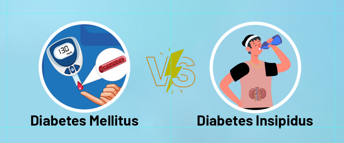Diabetes Mellitus vs Diabetes Insipidus