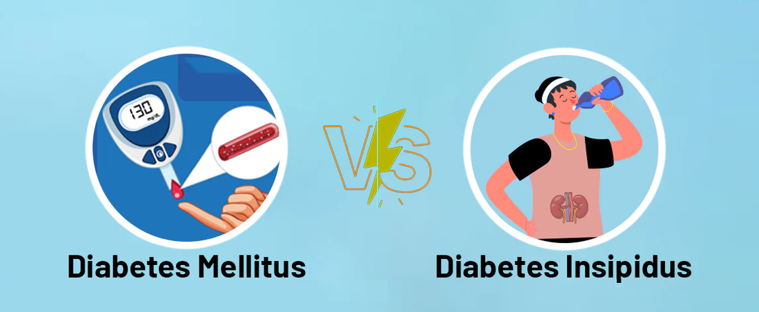 Diabetes Mellitus vs Diabetes Insipidus