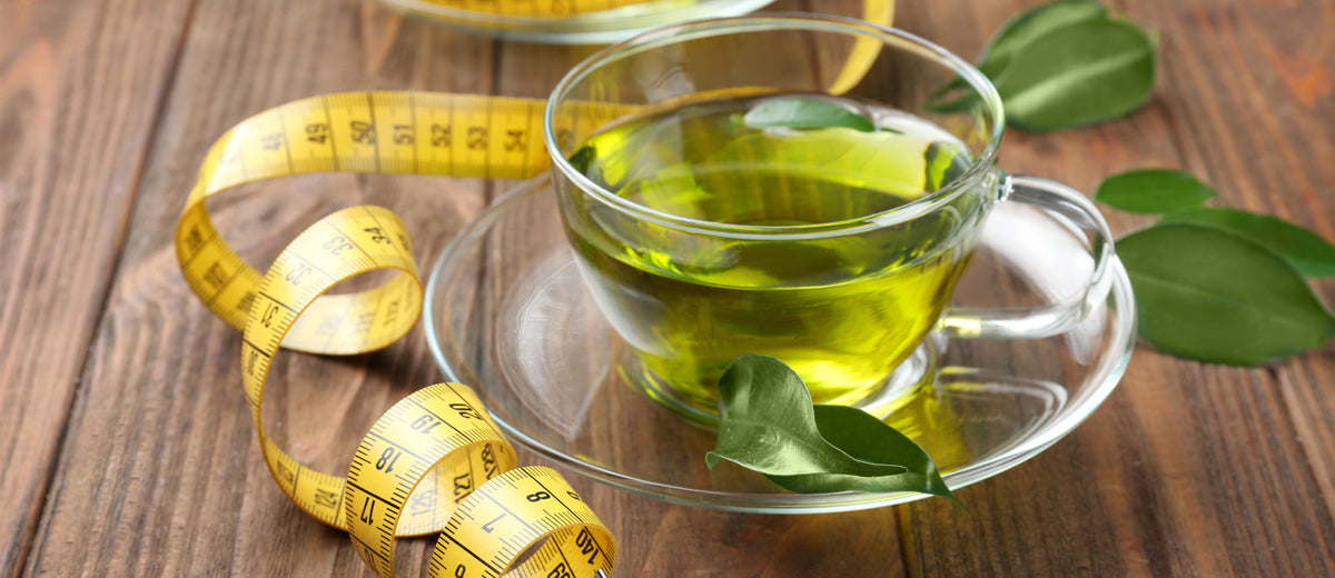 Green-tea-for-weight-loss