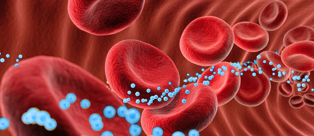 HDL or Good Cholesterol Normal Range, Benefits, How to Improve – Lets ...