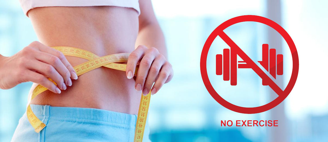 How to Lose Weight without Exercise?