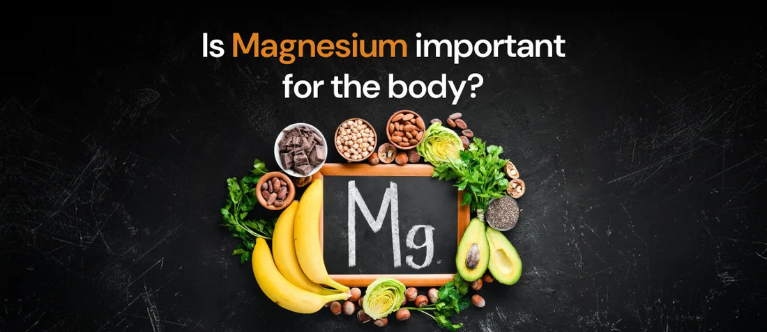 The Mineral Most People Are Missing: Why Magnesium Matters More Than You Think