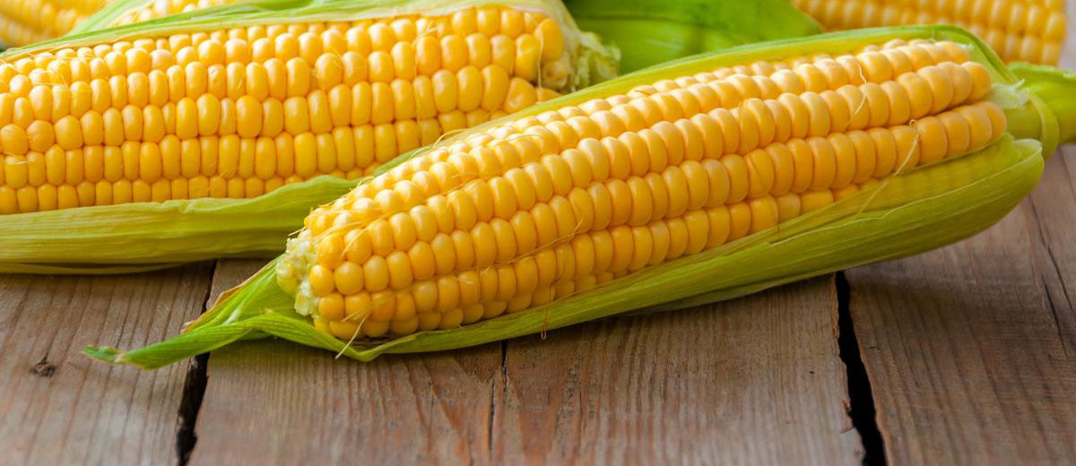 Is Sweet Corn Good for Diabetes?