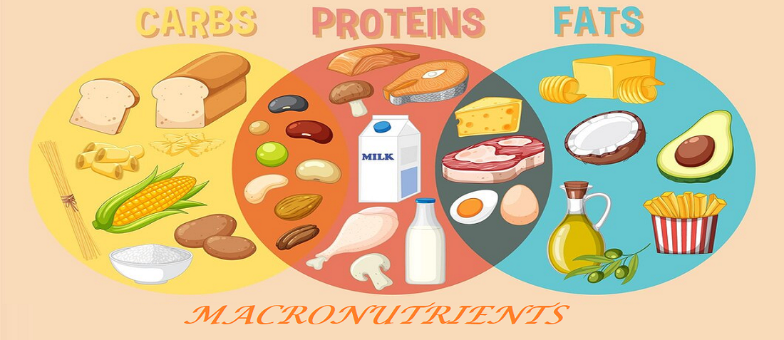 Fuel Your Well-being: A Self-Care Sunday Guide to Macronutrients