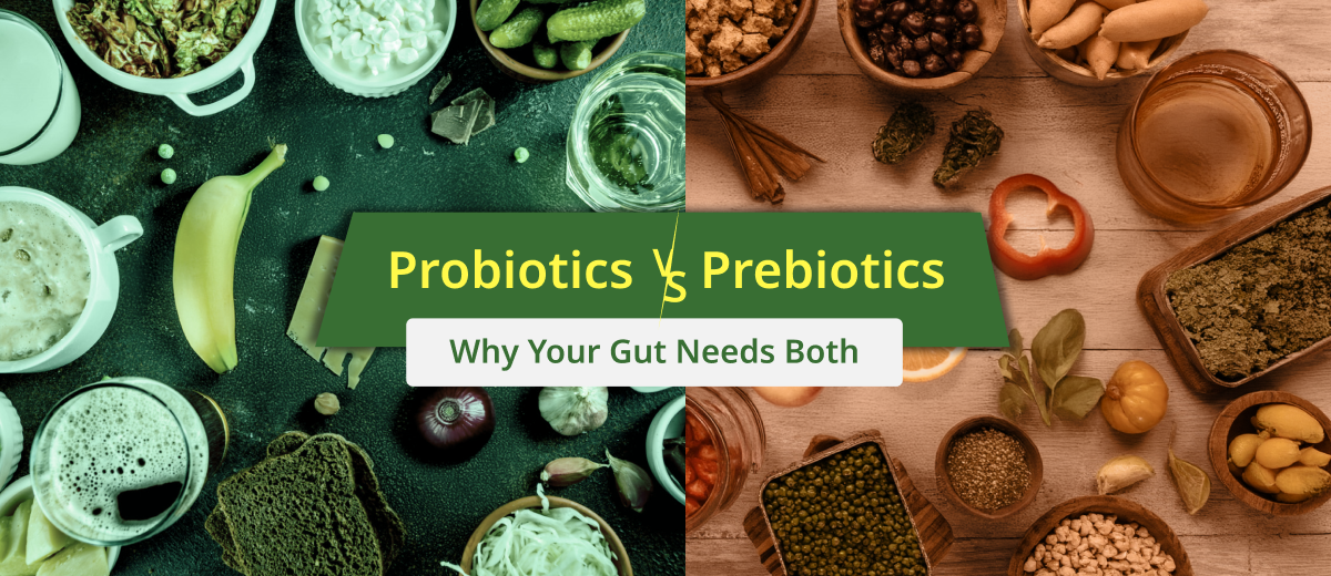 Probiotics vs. Prebiotics: What’s the Difference & Why You Need Both