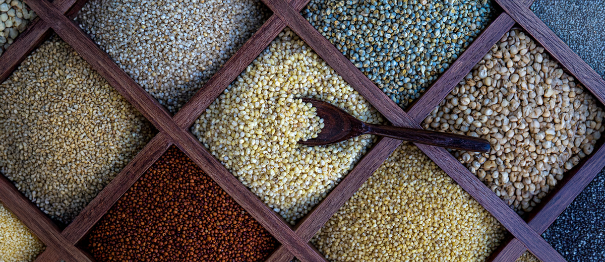 Role of Millets in Diabetes Management – Are They Better Than Rice?