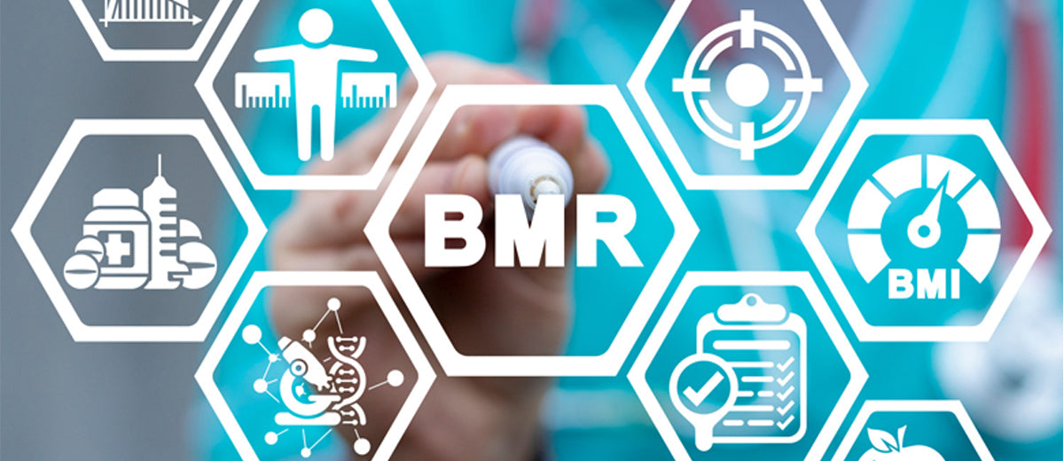 Basal-Metabollic-Rate