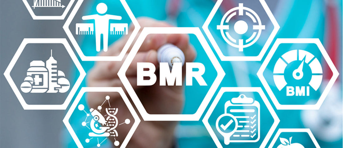Basal-Metabollic-Rate