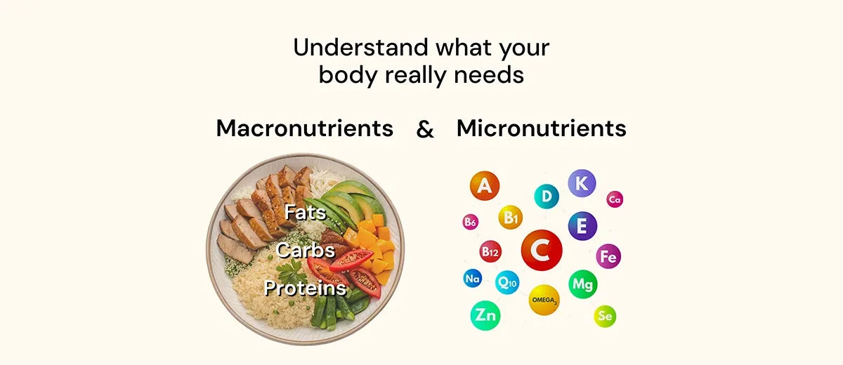 Understanding Macronutrients and Micronutrients for Better Nutrition