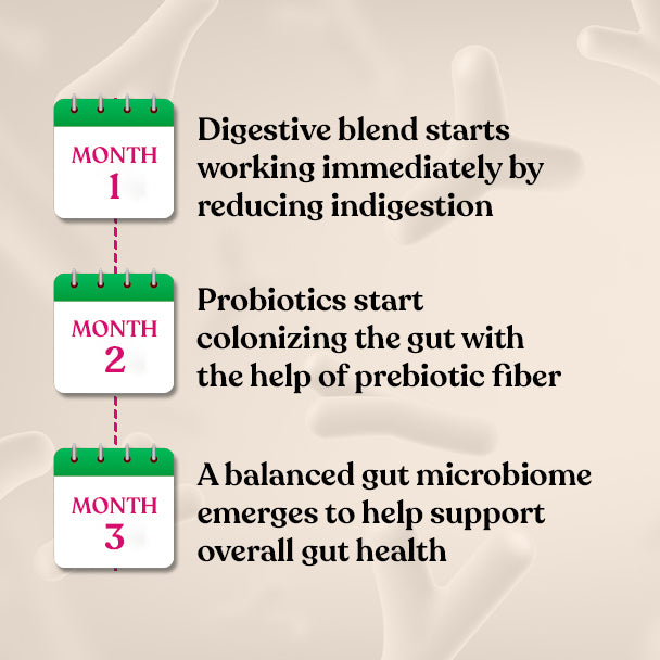 Moderate Happy Gut Working Process