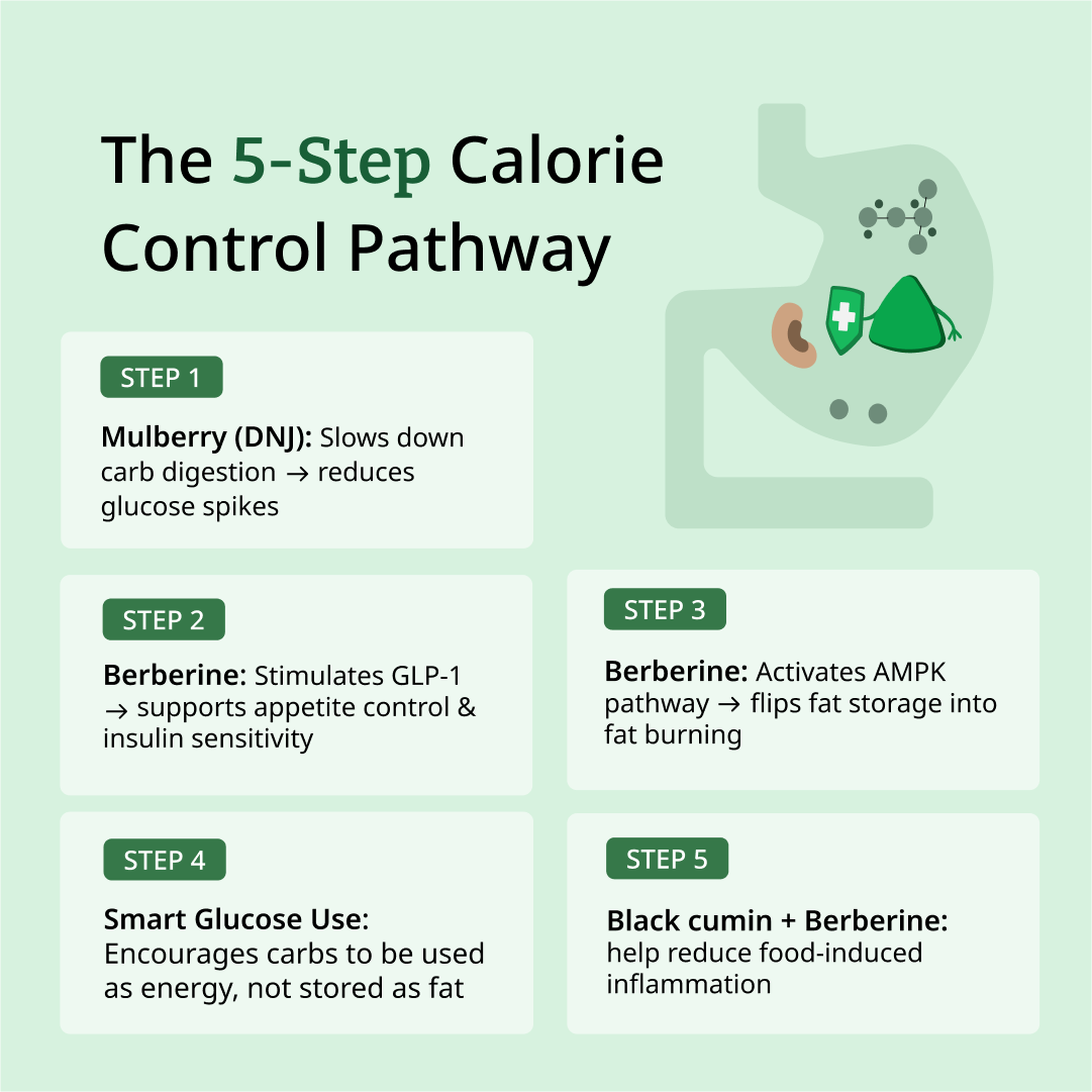 Calorie Crusher
