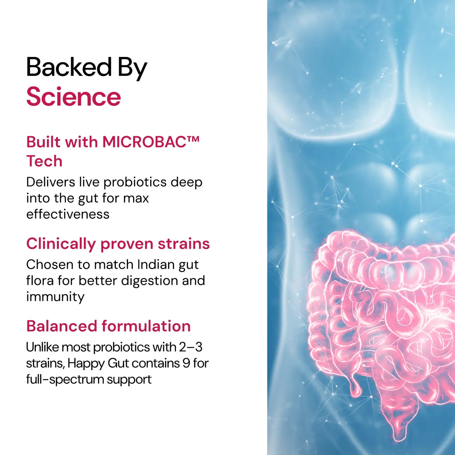 Happy Gut | Improves Gut Healths